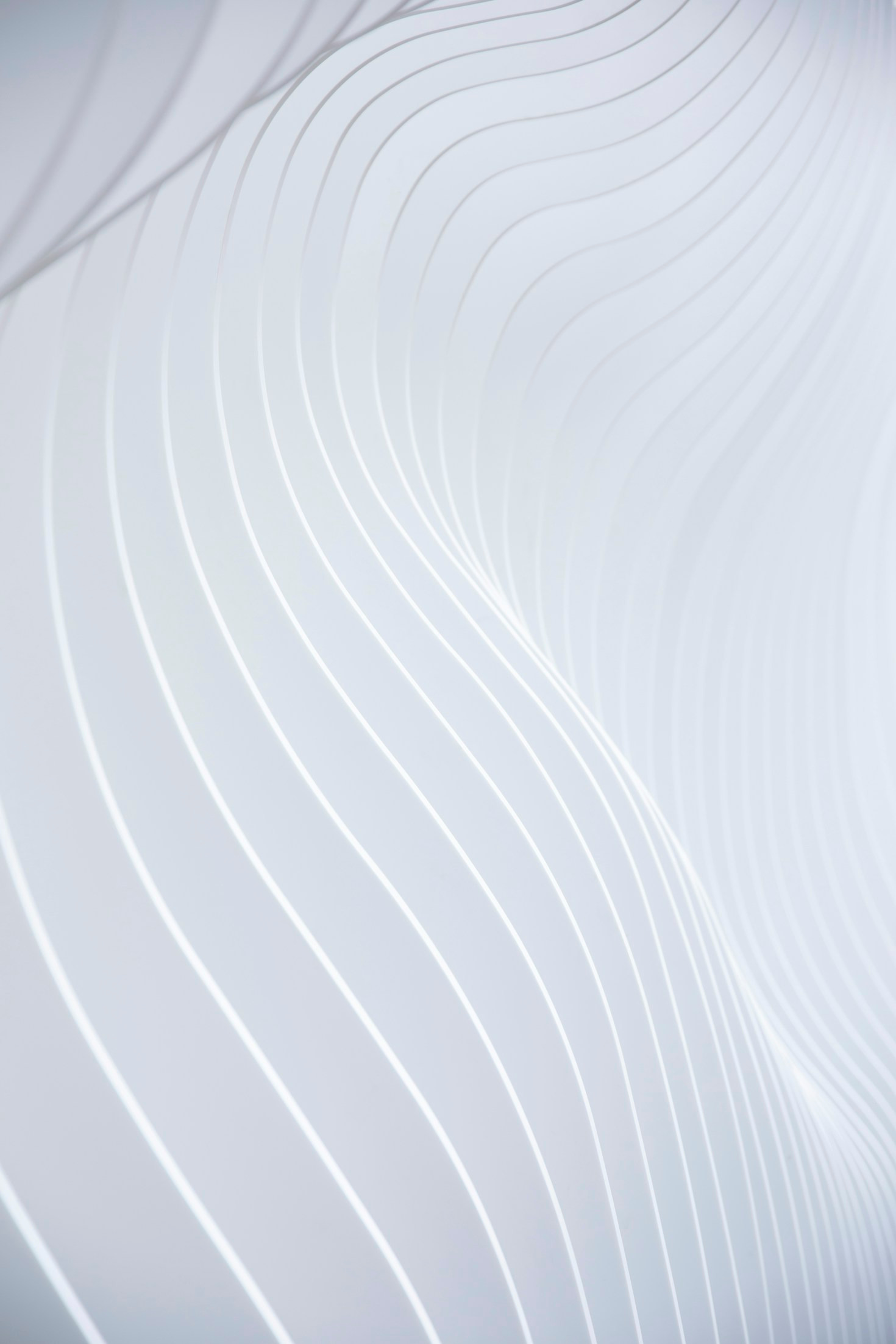 Modern Trends Shaping Our Shared Future